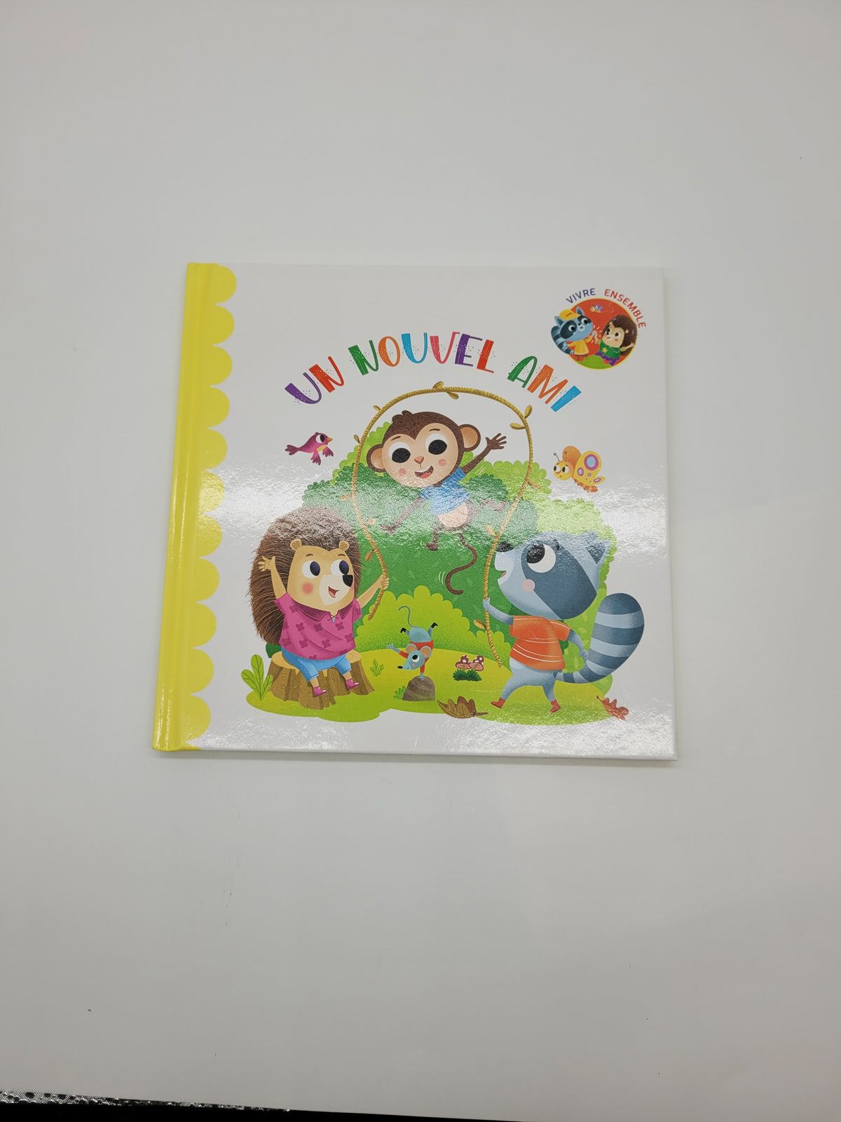Livre Un nouvel Ami